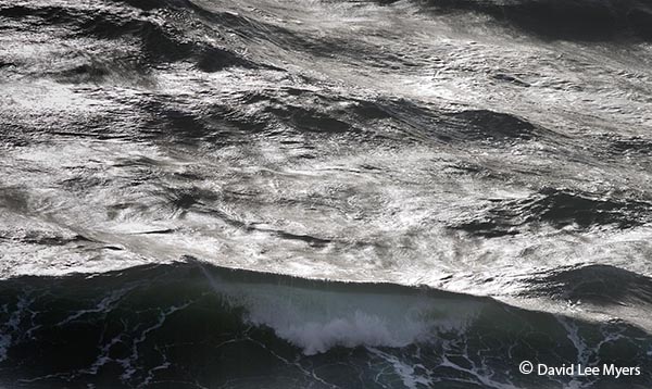 Wave in the Pacific Ocean, Oceanside, Oregon.