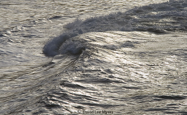 Breaking wave, Fogarty Creek State Park, Oregon coast.